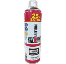 Akrylová barva ve spreji RAL 8011 ořechově hnědá