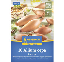 Kiepenkerl Longor šalotka k výsadbě, 10 kusů