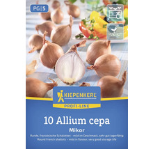 Kiepenkerl Profi-Line 10 Allium cepa Mikor Sada šalotek