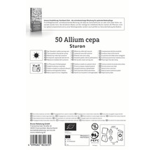 Balení 50 ks cibule Allium cepa Sturon, vhodné pro slunná místa a vyvýšené záhony