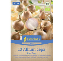 Kiepenkerl Logo Bio šalotka Red Sun balení s bio pečetí