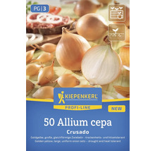 Kiepenkerl Profi-Line Allium cepa Crusado cibule sazečka, 50 kusů