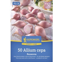 Allium cepa Rosanna sazečka cibule, 50 kusů, vhodná pro všechny půdy
