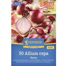50 červených cibulek odrůdy Allium cepa Romy