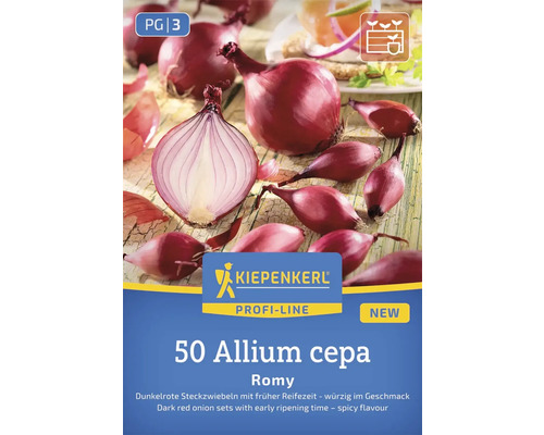 50 červených cibulek odrůdy Allium cepa Romy