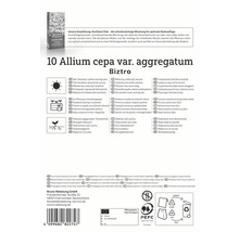 Balení Allium cepa var. aggregatum Biztro s informacemi o umístění, výsadbě a vlastnostech