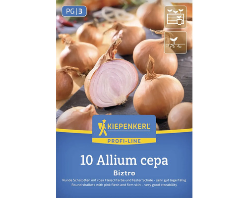 Sázecí šalotka odrůdy Biztro, 10 kusů, Allium cepa, logo Kiepenkerl