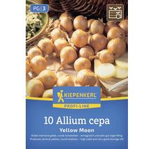 Sazečka cibule 'Yellow Moon' značky Kiepenkerl, 10 kusů, Allium cepa