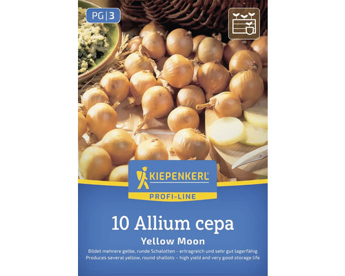 Sazečka cibule 'Yellow Moon' značky Kiepenkerl, 10 kusů, Allium cepa