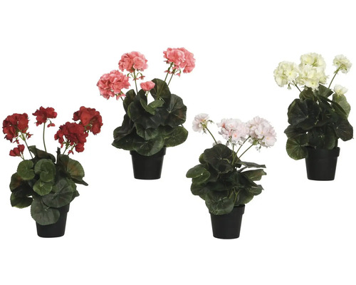 Umělá květina muškát v květináči Ø 25 x 35 cm, různé barvy Různobarevné muškáty v květináčích