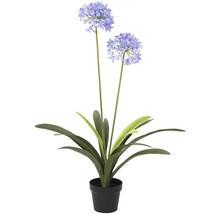 Umělá Agapanthe v květináči jako dekorace