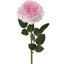 Jedna růžová umělá růže s stonkem a listy.