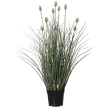 Umělá zelenec v černém květináči