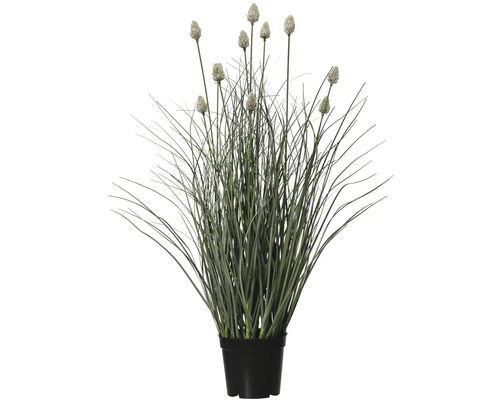 Umělá rostlina okrasná tráva v květináči 60 cm Umělá zelenec v černém květináči