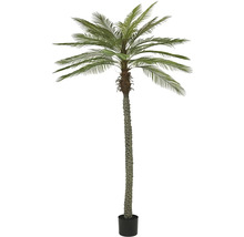 Umělá datlová palma v květináči