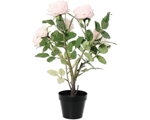 Umělá rostlina růžový keř v černém květináči