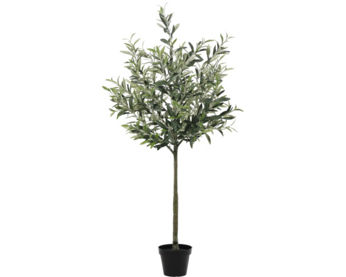 Umělý olivovník v květináči