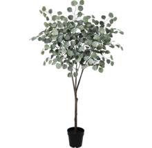Umělý eukalyptus ve květináči