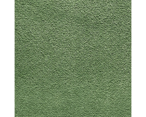 Detail omítkové struktury