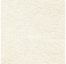 Detail omítkové plochy