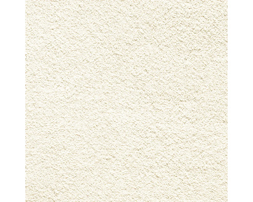Detail omítkové plochy
