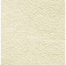 Detail omítkové plochy