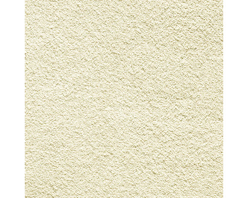 Detail omítkové plochy