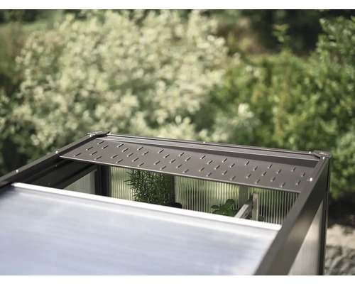 Detailní pohled na skleník s otevřeným střešním oknem pro ventilaci.