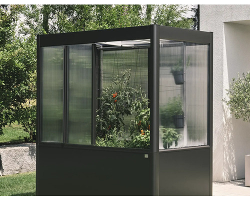 Malý skleník s rostlinami