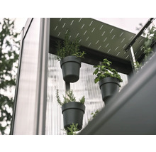 Detailní pohled na bylinky v květináčích na stěně, které tvoří vertikální zahradní systém.