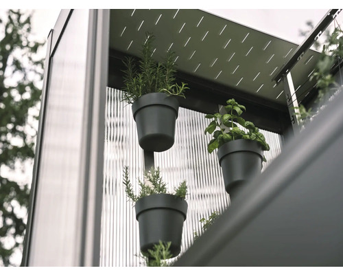 Detailní pohled na bylinky v květináčích na stěně, které tvoří vertikální zahradní systém.