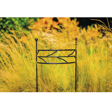 Kovová podpěra rostlin v zahradním záhonu