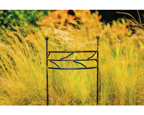 Kovová podpěra rostlin v zahradním záhonu