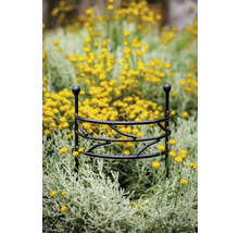 Kovová podpěra rostlin v květinovém záhonu