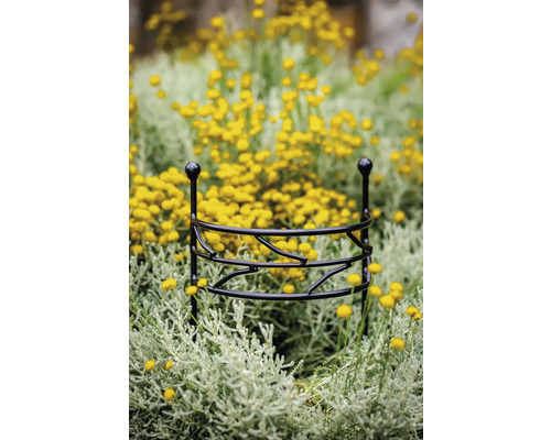 Kovová podpěra rostlin v květinovém záhonu