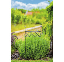 Zahrada s podpěrou rostlin v záhonu