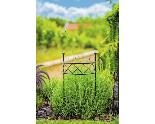 Zahrada s podpěrou rostlin v záhonu