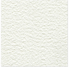 Detail struktury omítky