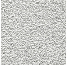 Detail strukturované zrnité omítky.