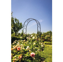 Kovová růžová pergola v zahradě s růžemi