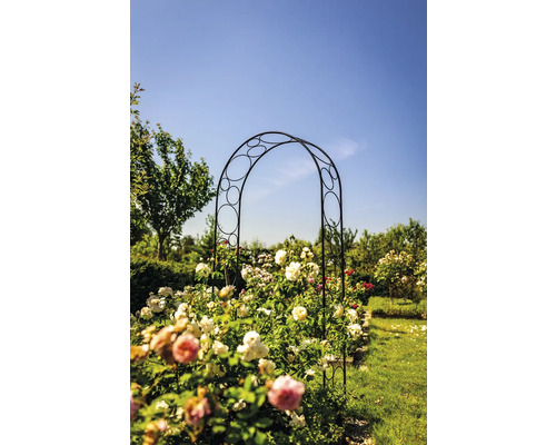 Oblouk na růže kovový 124 x 244 cm černý Kovová růžová pergola v zahradě s růžemi