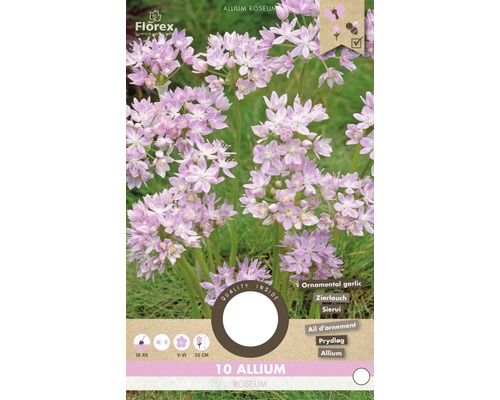 Balení okrasného česneku Allium roseum s dobou květu, dobou výsadby a výškou rostliny