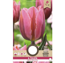 Balení 6 tulipánů odrůdy Pretty Princess