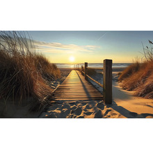 Dřevěná lávka na pláži s trávou v dunách a západem slunce
