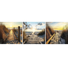 Triptych plážová cesta se západem slunce