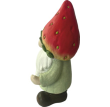 Zahradní trpaslík s jahodovou čepicí