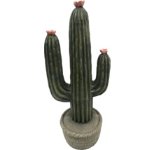 Dekorativní kaktus pro vnitřní použití s květináčem