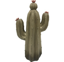 Dekorativní kaktus s květy do interiéru