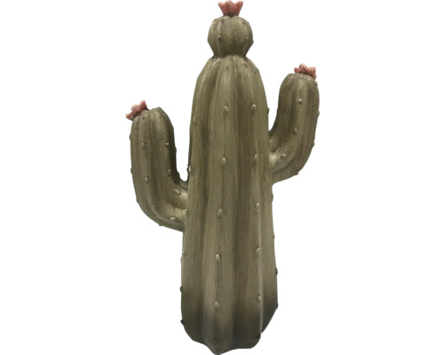 Dekorativní kaktus s květy do interiéru