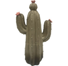 Dekorativní kaktus s květy pro interiér